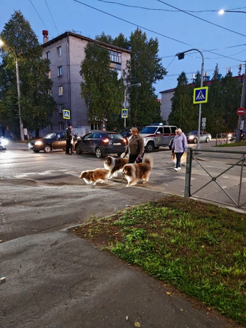 Источник: читатель 29.RU