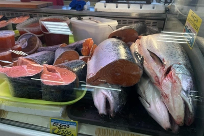 Цены на рыбу в архангельском рынке «Прага»