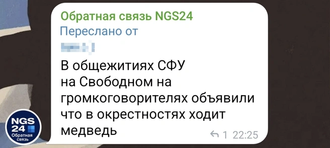 Сообщение пришло поздно вечером  | Источник: Обратная связь от читателей NGS24 / Telegram 