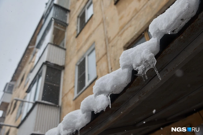 В начале октября в Новосибирске резко похолодало | Источник: Александр Ощепков / NGS.RU