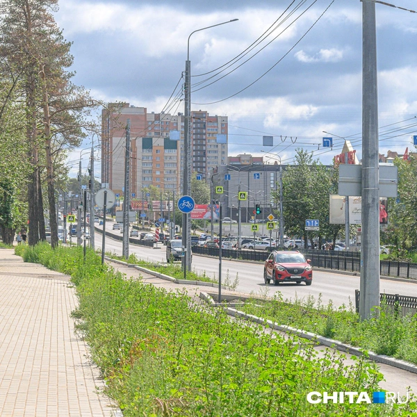 Источник: Олег Фёдоров / CHITA.RU