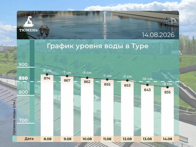 Такие данные по Туре на 14 августа | Источник: Максим Афансьев / Max.ru