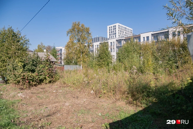 Источник: Иван Митюшёв / 29.RU