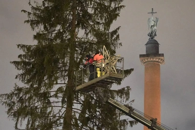 На Дворцовой площади завершился демонтаж новогодней елки