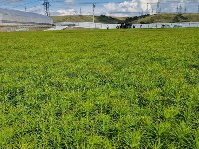 Проект реализовали за 12 месяцев | Источник: Култуминский ГОК