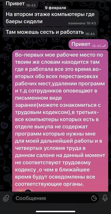 Девушка утверждает, что это переписка с руководителем салона от 9 февраля, которая подтверждает, что на тот момент работать ей было уже негде | Источник: Анна Полякова