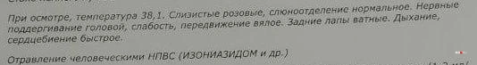 Животное сильно пострадало | Источник: читатель 63.RU