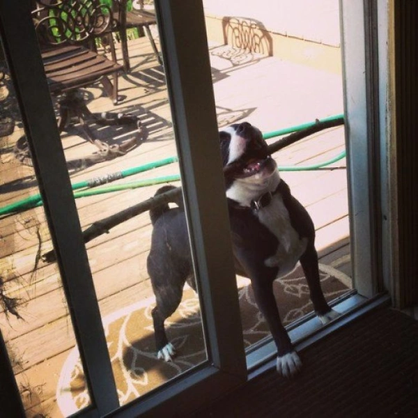 "Ну разве можно делать такие узкие двери, а?!"
