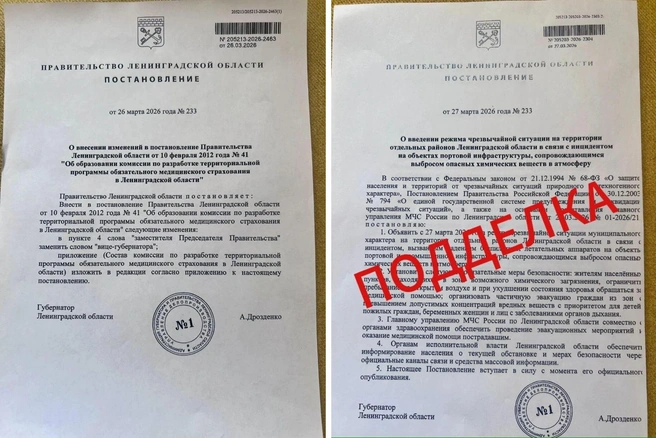 слева — оригинальный документ, справа — фейк | Источник: Александр Дрозденко / Telegram