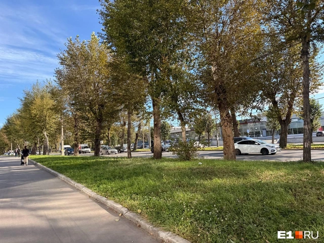 В правом ряду уже нет огромного потока машин | Источник: читательница E1.RU Дарья