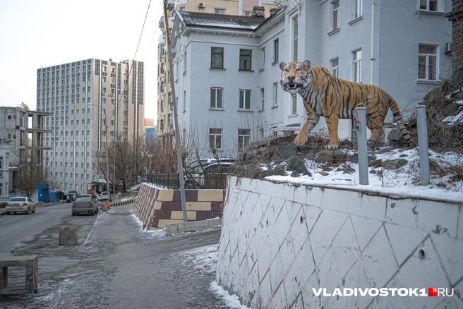 Источник: Елена Буйвол / VLADIVOSTOK1.RU