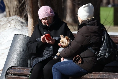 В Тюмени с Нового года подорожают связь и интернет