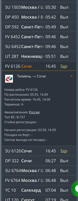 Самолет должен был вылететь еще в пять утра | Источник: читатель 72.RU