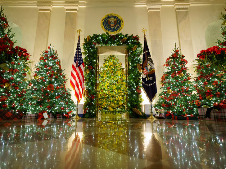 Финальный аккорд: как выглядит последний рождественский портрет Мелании и Дональда Трампов