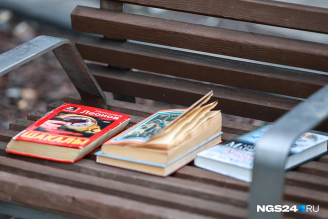 Милый красноярский буккроссинг | Источник: Мария Ленц / NGS24.NRU