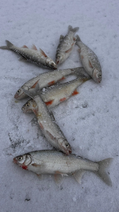 Источник: Игорь Зинченко / Vk.com