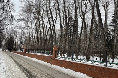 Дендропарк в Екатеринбурге закроют на весеннюю просушку