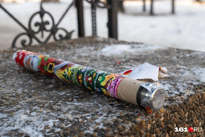 Источник: Евгений Вдовин / 161.RU