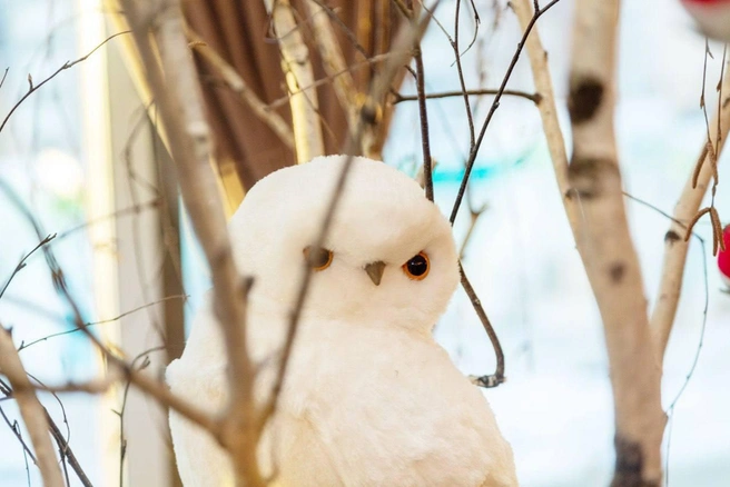 Хочется сфотографировать каждую деталь | Источник: «Дружба»