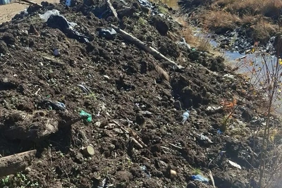 В Забайкалье на золотодобыче выявили загрязнение реки и почвы