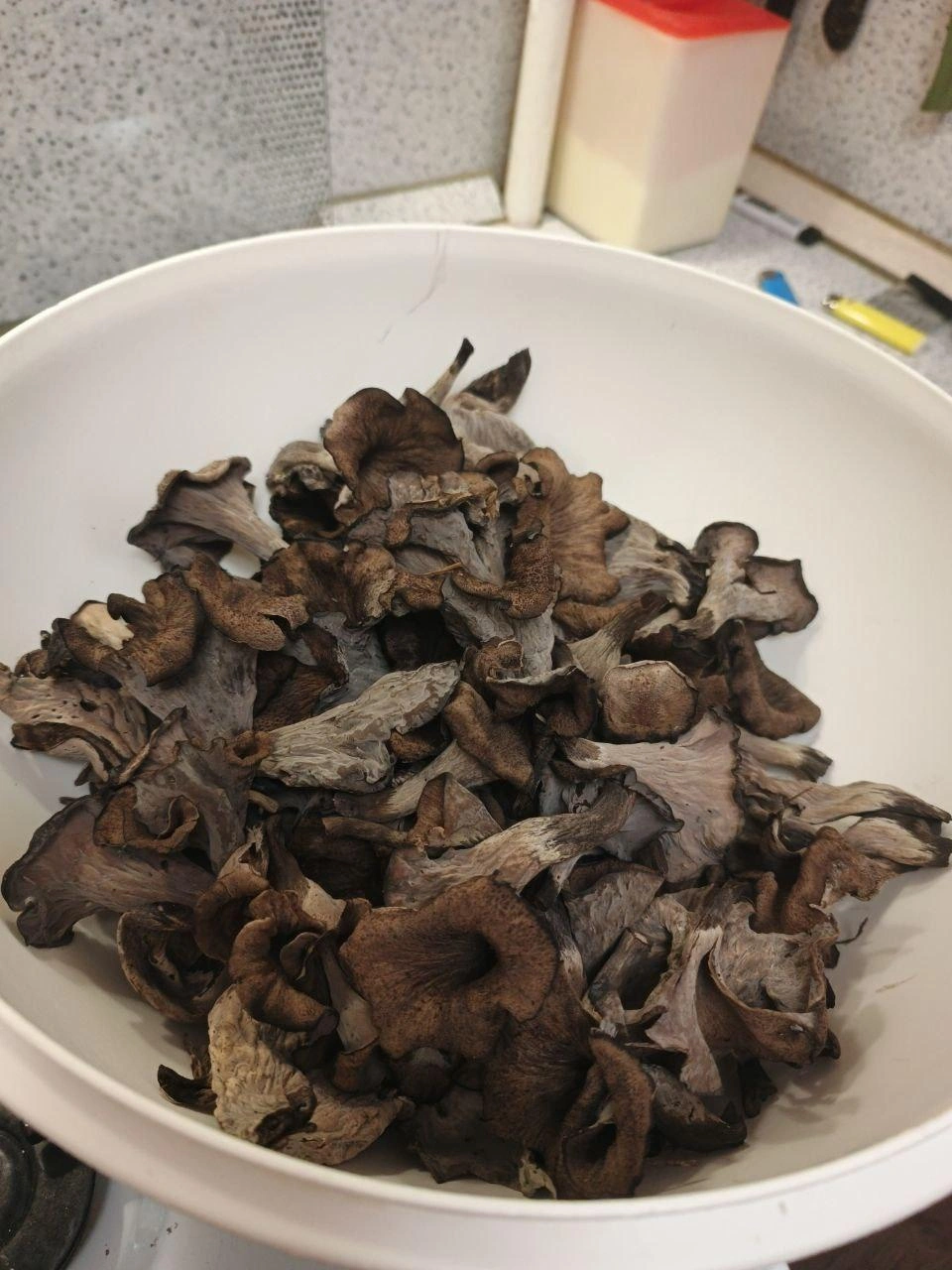 А вы собирали такие грибы? | Источник: Грибники Тюмени / Telegram