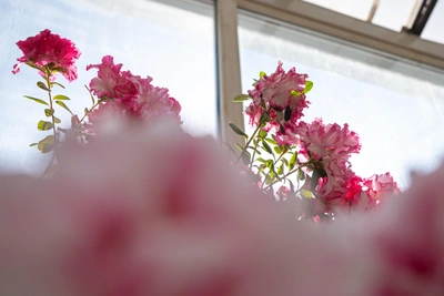 Похолодание ожидается в Приморье в начале недели