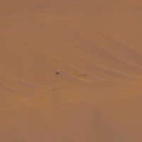 На вечном покое: в марсианских песках разглядели оторванную лопасть вертолета Ingenuity