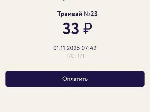 В трамваях система оплаты по QR-коду работает без сбоев. | Источник: читатель E1.RU