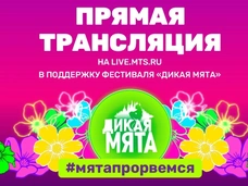 Онлайн-концерт МТС Live в поддержку «Дикой мяты»