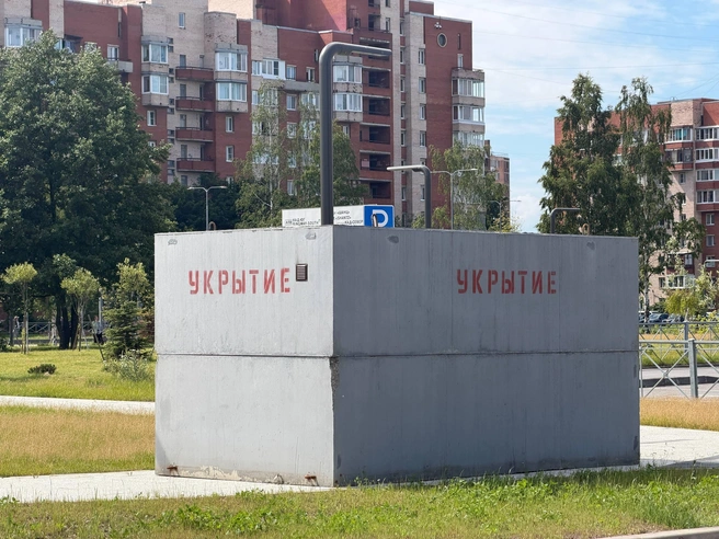 Источник: Сергей Михайличенко / FONTANKA.RU