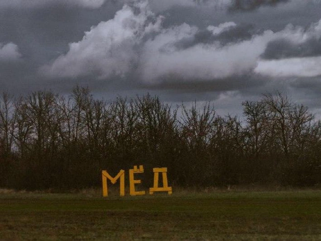 Снимок передаёт теплоту и натуральность момента | Источник: Фотограф
