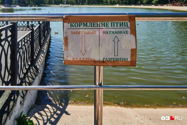 Все запомнили? | Источник: Роман Данилкин / 63.RU