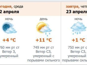 Скриншот прогноза погоды с официального сайта meteo.nw.ru.