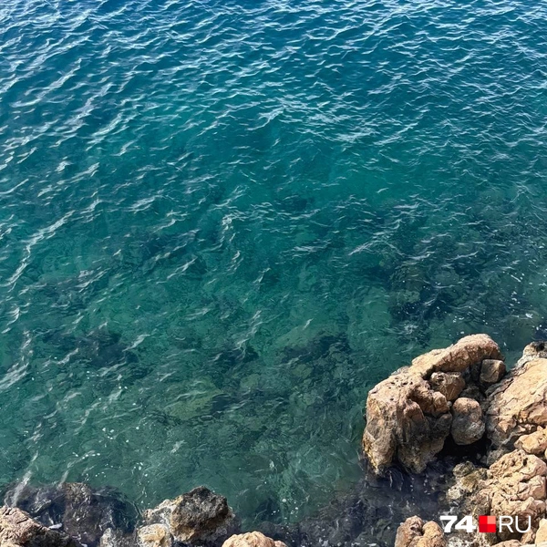 Источник: Наталия Колмогорова