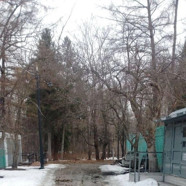 Источник: Дендропарк ЕКБ