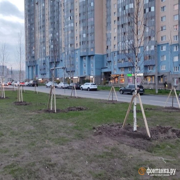 Парк Строителей в Невском районе Петербурга | Источник: Фонтанка.ру