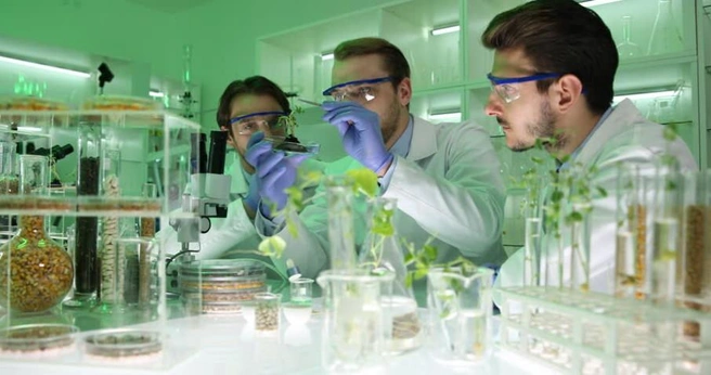 Исследования продолжаются | Источник: nk-tv.com