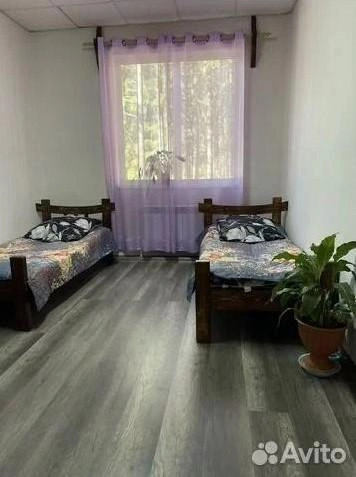 Источник: «Авито»