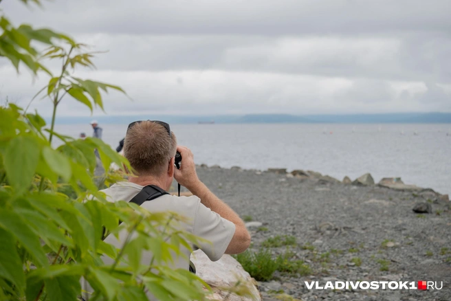 Источник: Елена Буйвол / VLADIVOSTOK1.RU