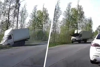 Грузовик сбил лося в Ярославской области: видео