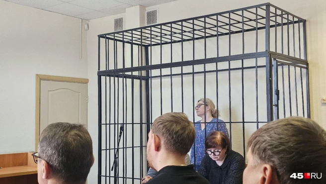 Елена Камшилова была за решеткой, так как ей избрана мера пресечения&nbsp;— заключение под стражу | Источник: Дарья Никитченко