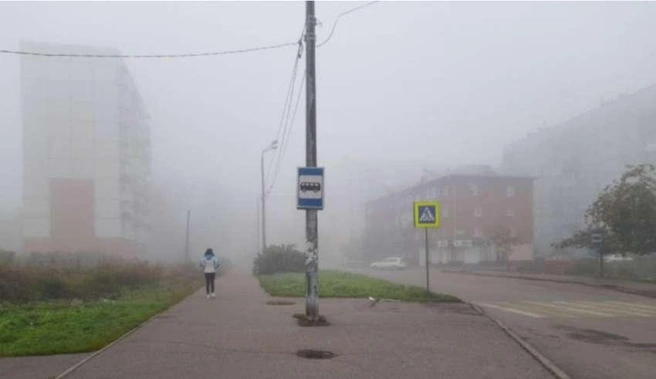 Правительство Кемеровской области — Кузбасса увеличило бюджет на экопроекты в 2025 году | Источник: Nk-tv.com