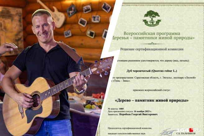 Житель Энгельса самостоятельно пытался внести дерево в реестр | Источник: Арслан Кинзябулатов / Telegram, Росдрево / rosdrevo.ru