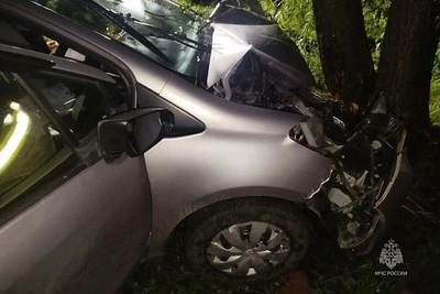 В Приамурье иномарка влетела в дерево