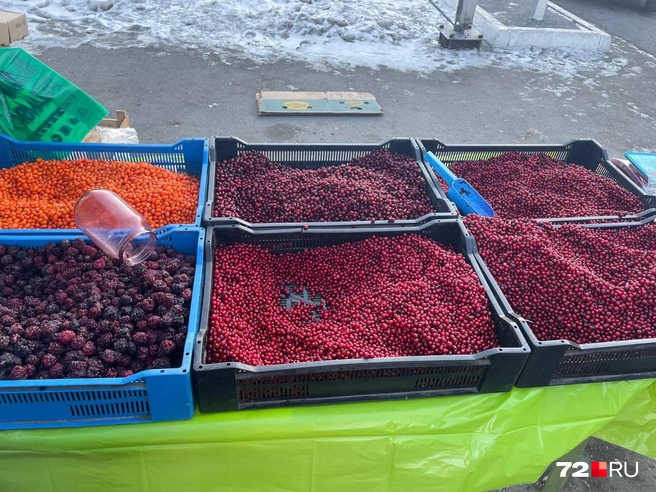 Ягоды тоже продают на ярмарке | Источник: Радик Енчу / 72.RU