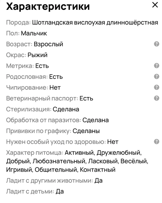 Кота описывают как дружелюбного и активного | Источник: сайт бесплатных объявлений