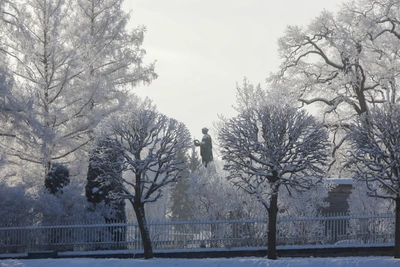 Прокопьев день: традиции и запреты 5 декабря