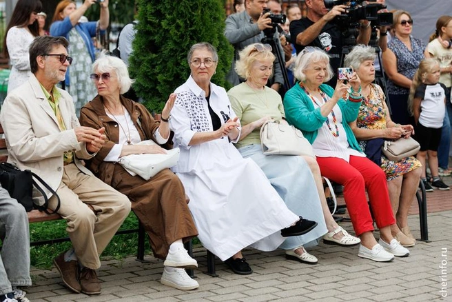 Источник: st.cherinfo.ru
