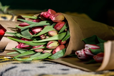 Администрация Волгограда выделит миллион на закупку цветов