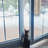 Аватарка Фирсова Ульяна